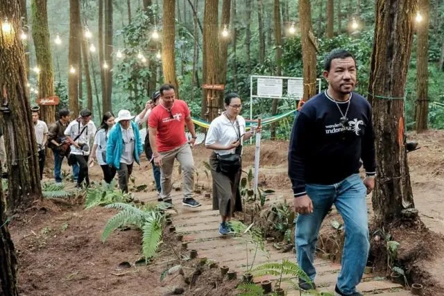 Glamping Hutan Pinus Purworejo Sudah Dibuka. Rasakan Kenikmatan Camping yang Naik Levelnya! 11