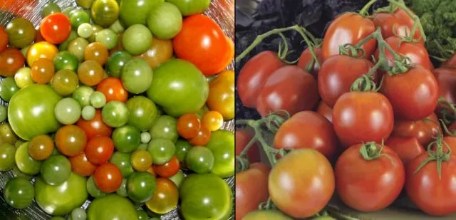 9 Cara Mengawetkan Makanan untuk Cegah Pembusukan Sebelum Masuk Kulkas 17