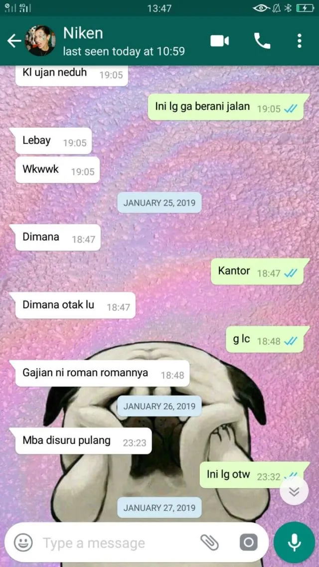 13