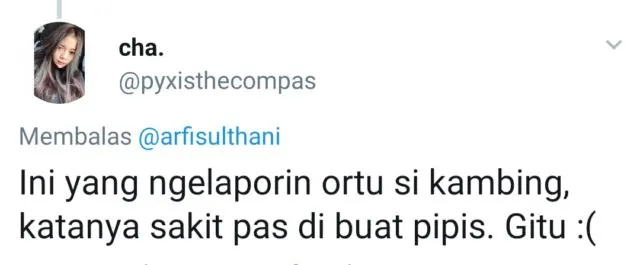 13+ Reaksi Kocak Warganet Soal Kambing yang Diperkosa Pria Atas Dasar Suka sama Suka. Ngaco! :D 22