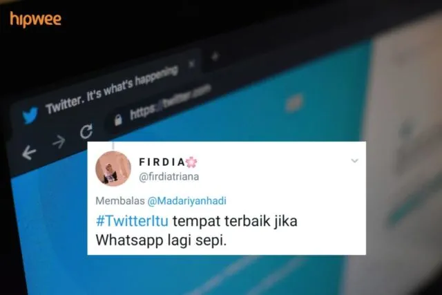 15 Alasan Orang Betah Banget Main Twitter daripada Medsos Lain. #TwitterItu Gimana Menurutmu? 27