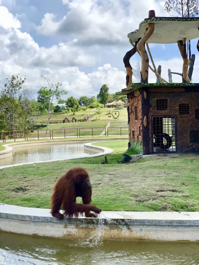 7 Destinasi Wisata di Bintan yang Wajib Didatangi. Mulai Pantai Pasir Putih Sampai Gurun Pasir Ada Semua! 14