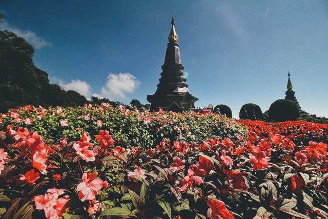 5 Hal Seru yang Ada di Chiang Mai, Thailand. Mulai dari Wisata Kuliner Sampai Festival Lampion! 10