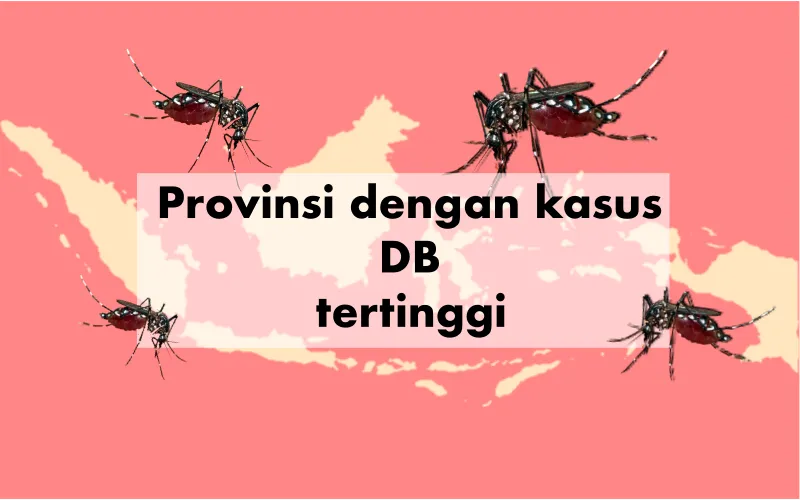 10 Wilayah dengan Kasus Demam Berdarah Tertinggi. Buruan Cek, Jangan-jangan Daerahmu Termasuk