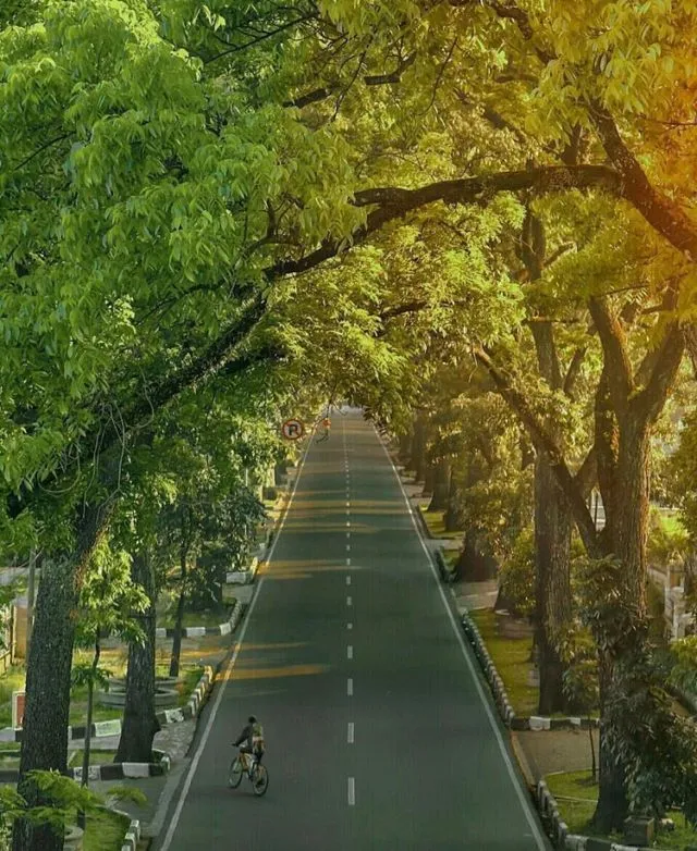Rekomendasi 7 Tempat Menangis Terbaik di Bandung. Cocok buat Segala Jenis Air Mata Kesedihan~ 8