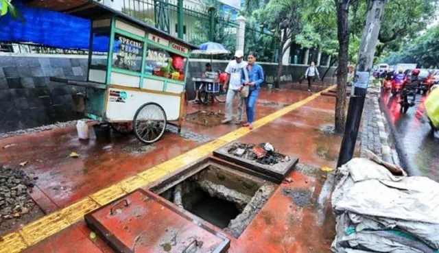 Realita Budaya Jalan Kaki di Dunia. Justru di Negara Berflower Kayak Indonesia, Jalan Kaki Itu Sulit 9