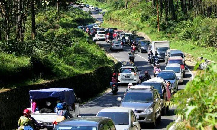 10 Usulan Perbaikan buat Lalala Fest Tahun Depan. Biar Musik, Hutan, dan Penontonnya Tetap Aman 12