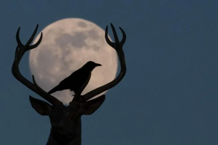 13 Penampakan Supermoon di Berbagai Negara. Supermoon Kemarin Itu yang Terbesar Sampai Tahun 2026 Lo 20