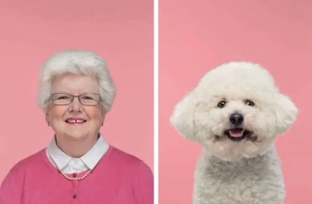 10 Foto Kemiripan Pemilik dan Anjing Peliharaan ini Bisa Aja Terjadi Kalau Mereka Udah Akrab Banget 14