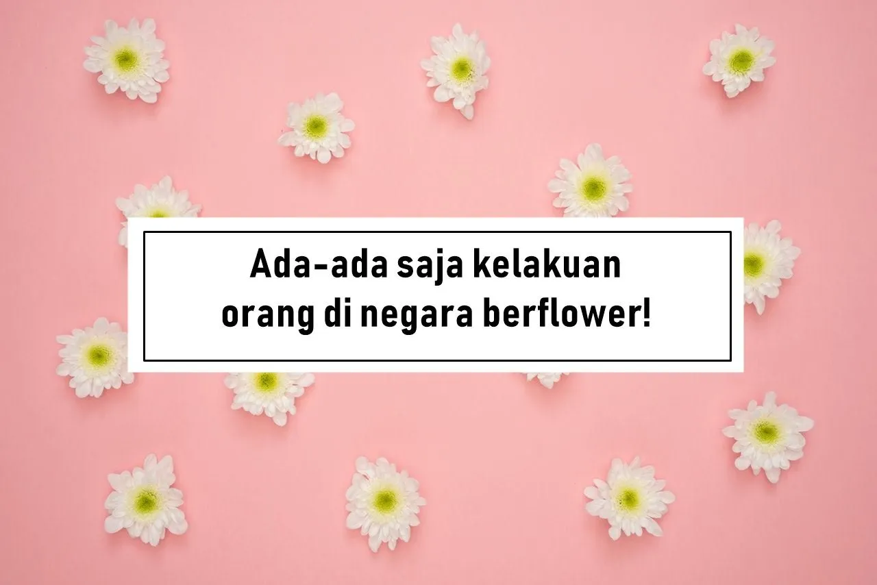 Kamus Medsos 3.0. Begini Maksud dari Istilah Aneh yang Biasa Dipakai Warganet di Kolom Komentar