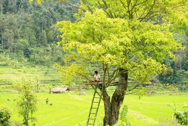 Desa Wisata Sepakung, Spot Wisata Hits yang Memacu Adrenalin di Semarang. Alamnya Indah Banget Sih! 12