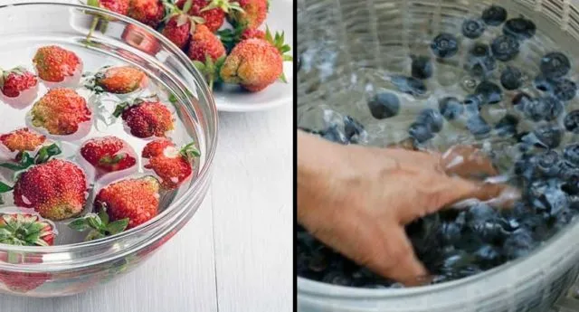 9 Cara Mengawetkan Makanan untuk Cegah Pembusukan Sebelum Masuk Kulkas 10
