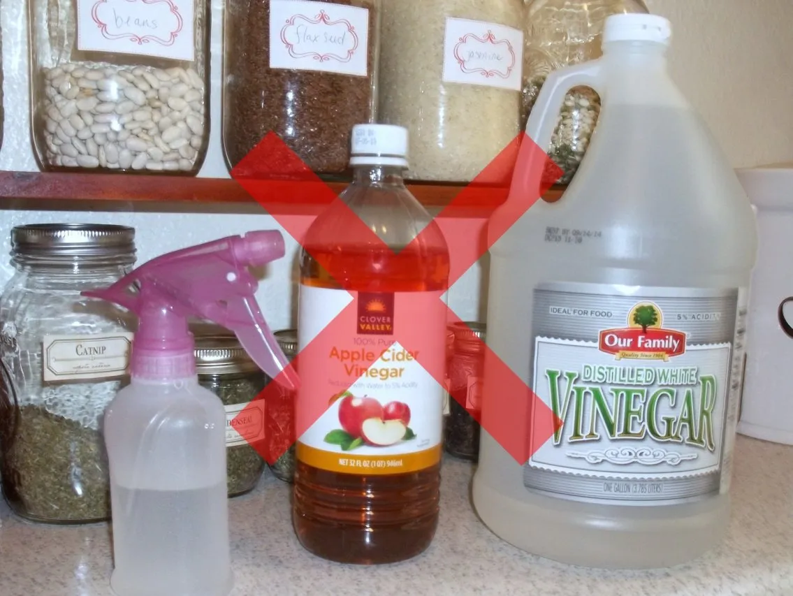 Jangan Bersihkan 7 Barang ini dengan Cuka. Bukannya Kinclong, Justru Bisa Aus dan Rusak