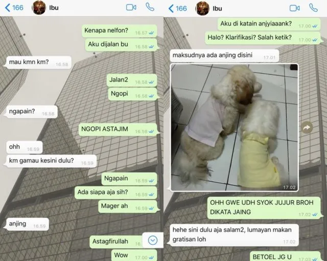 Beredar Chat Ibu dan Anak yang Kelewat Kocak; Gambaran Hubungan Tanpa Sekat Bak Sahabat 13