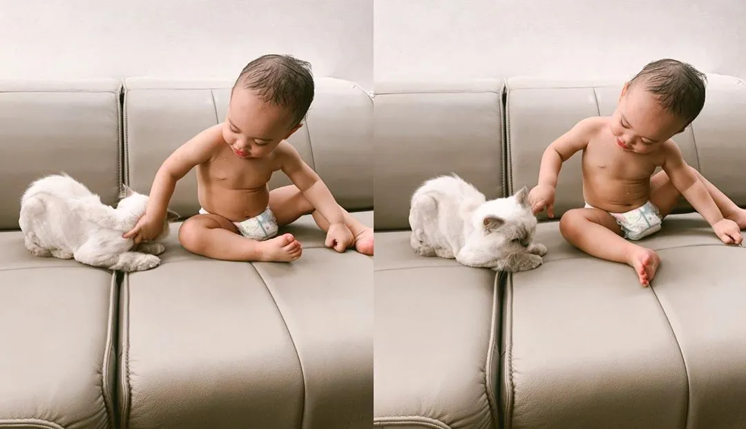 Lucunya Xabiru yang Akrab Banget Sama Kucing. Calon Jodoh Penyayang di Masa Depan Nih! 10