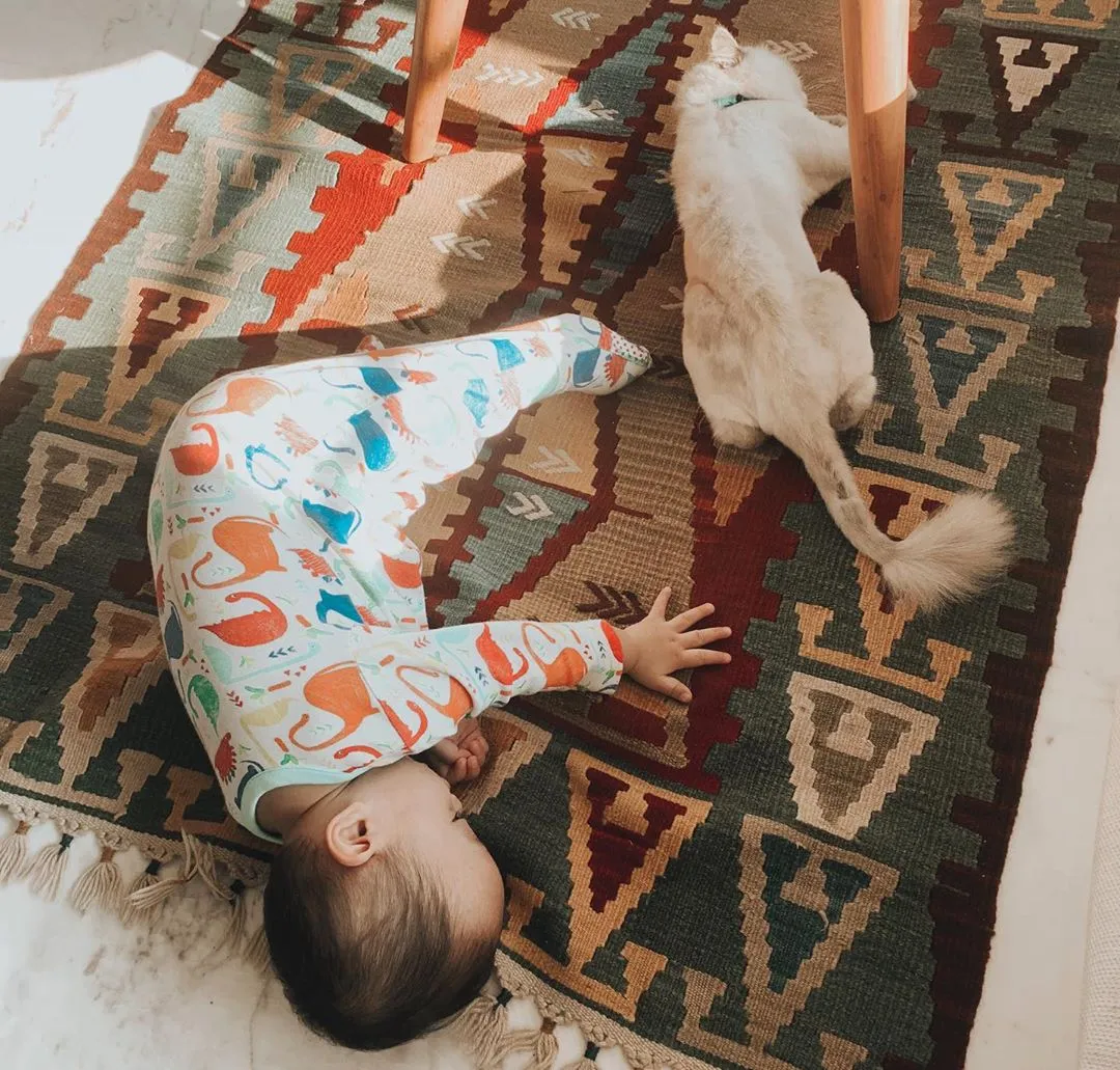 Lucunya Xabiru yang Akrab Banget Sama Kucing. Calon Jodoh Penyayang di Masa Depan Nih! 9