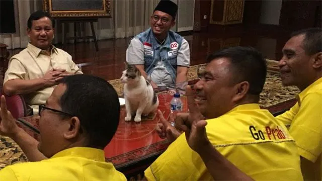 Relawan Kubu 02 Adakan Lomba Mirip Bobby, Kucing Kesayangan Prabowo. Selucu Apa sih Bobby Ini? 6