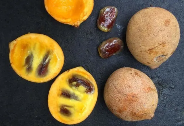 Bukan Sawo lo, ini 8 Manfaat Buah Kepel yang Tumbuhnya di Batang Pohon dan Makin Langka 13