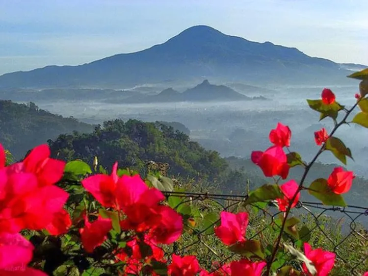 Tiga Pendaki Gunung Tampomas Ditemukan Meninggal Dunia. Tragisnya, Usianya Masih Belasan Tahun! 6