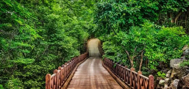 7 Destinasi Wisata di Berbagai Negara Buat Cewek yang Pengen Solo Traveling. Cobain ke Sana, Ladies! 14