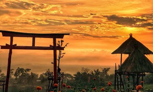 Taman Jinja, Wisata Bernuansa Jepang di Bali. Serasa Liburan ke Negeri Sakura versi Ngirit! 16