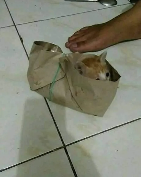 Drama Lapar yang Kerap Jadi Uji Kompetensi Sabar. Sobat Misqueen Pasti Paham Betapa Dongkolnya~ 21