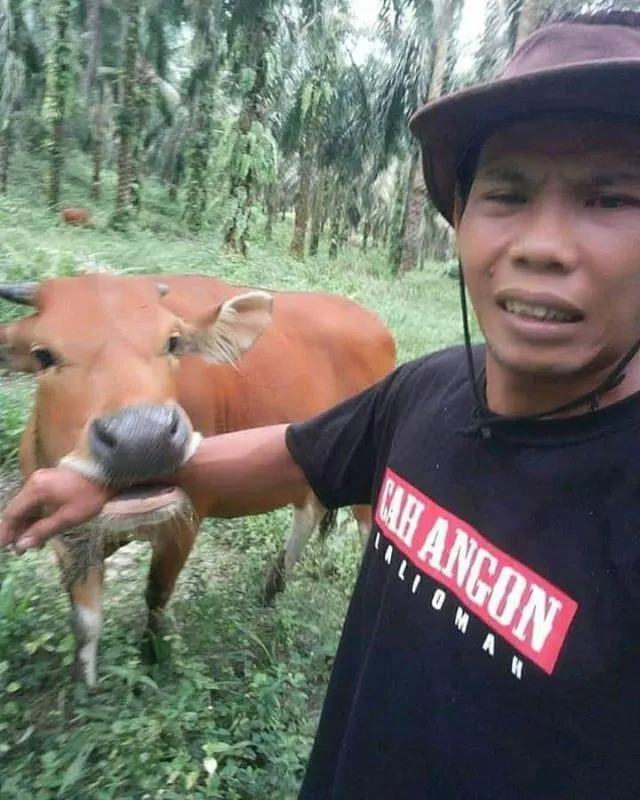 11 Potret Kocak Hewan Menantang Maut. Nekat Begini Udah Siap Masuk Surga Apa Gimana sih? 18