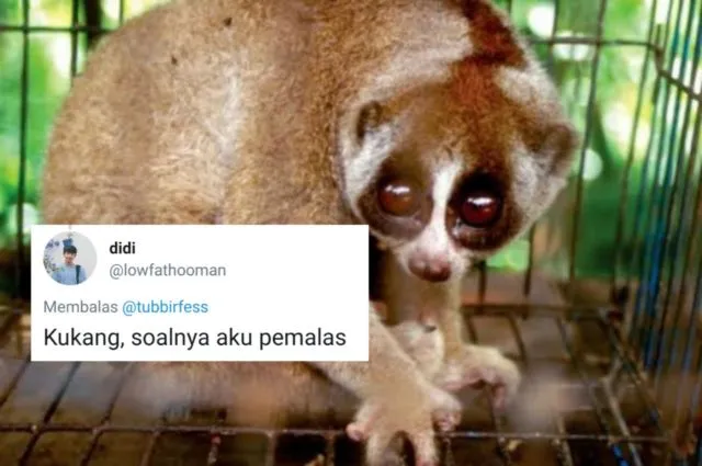 Andai Beneran Ada, Warganet Justru Bayangkan Dirinya Reinkarnasi dari 13 Hal Kocak Ini. Lawak Terooos! 23