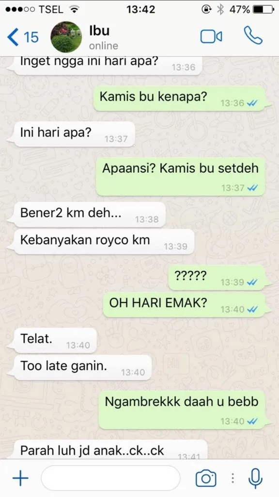 Beredar Chat Ibu dan Anak yang Kelewat Kocak; Gambaran Hubungan Tanpa Sekat Bak Sahabat 11
