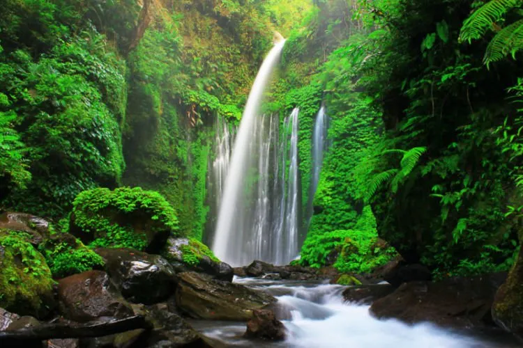 Lombok Kena Gempa Besar Lagi. Wisatawan Malaysia Jadi Korban di Air Terjun Tiu Kelep! 5