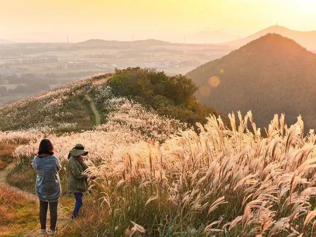 Panduan Liburan Anti Mahal ke Pulau Jeju, Korea Selatan. Nggak Butuh Visa Lho ke Sana! 12