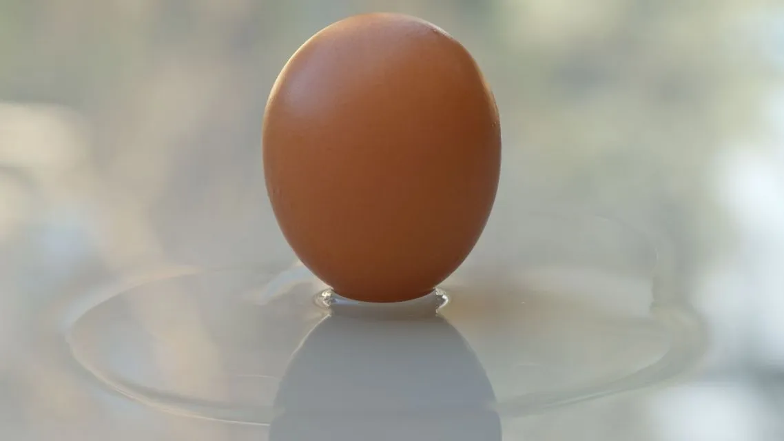 7 Tips Memilih Telur yang Baik dan Berkualitas 11 Tanda telur jelek