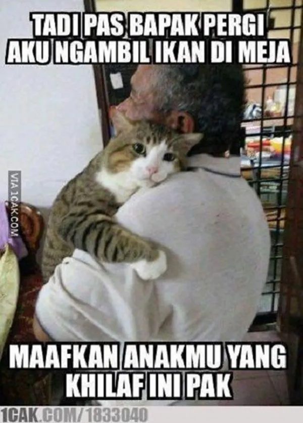 15 Momen Kocak Saat Kucing Terciduk Sedang Mencuri. Nggak Bisa Marah Saking Lucunya, kan? 28