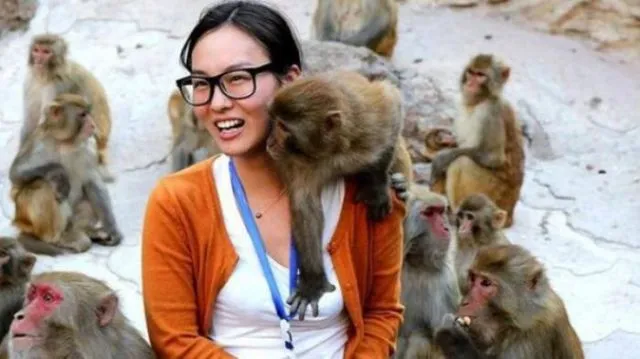 11 Potret Kocak Hewan Menantang Maut. Nekat Begini Udah Siap Masuk Surga Apa Gimana sih? 14