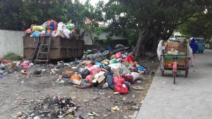 6 Cara yang Bisa Kita Lakukan untuk Selamatkan Biota Laut, Agar Tak Ada Lagi Paus Mati Karena Plastik 9