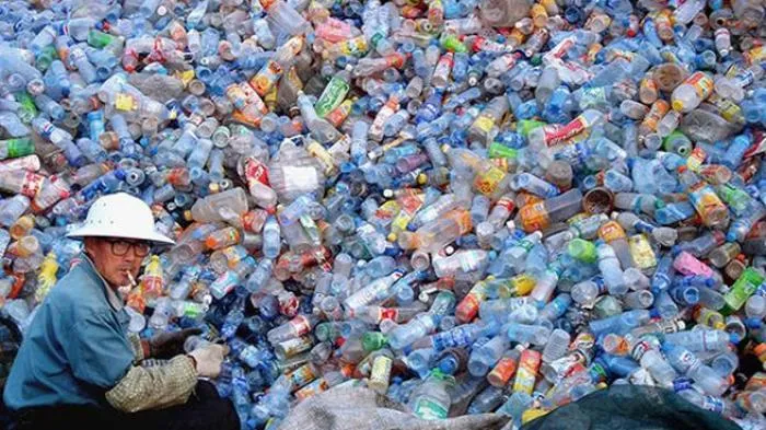 6 Cara yang Bisa Kita Lakukan untuk Selamatkan Biota Laut, Agar Tak Ada Lagi Paus Mati Karena Plastik 11