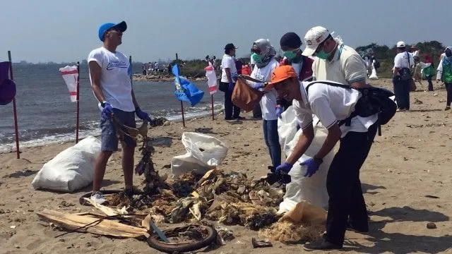 6 Cara yang Bisa Kita Lakukan untuk Selamatkan Biota Laut, Agar Tak Ada Lagi Paus Mati Karena Plastik 12