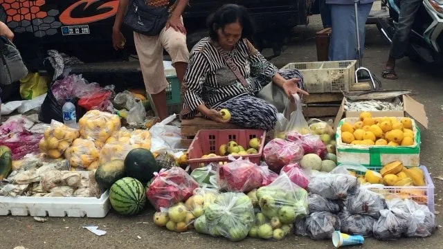 6 Cara yang Bisa Kita Lakukan untuk Selamatkan Biota Laut, Agar Tak Ada Lagi Paus Mati Karena Plastik 14