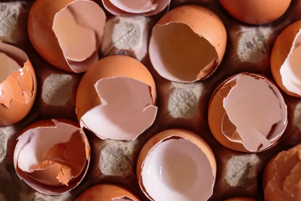 7 Tips Memilih Telur yang Baik dan Berkualitas 10 Telur pecah
