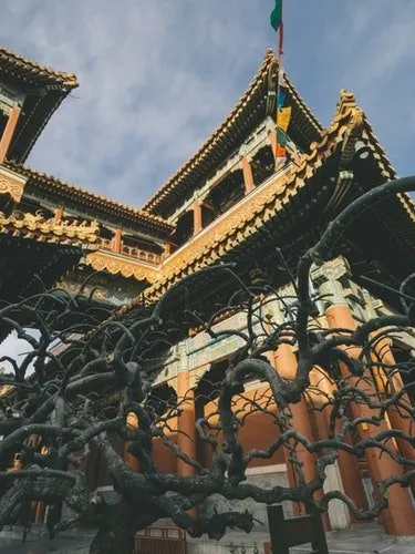 Tingkat Akurasi Terpercaya, Begini Caranya Menebak Jenis Kelamin Anak dengan Kalender Cina 6