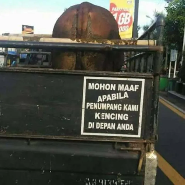11 Kelakuan Penumpang Pick Up yang Bikin Jantung Berdebar. Jangan Biarin Emak Kita Ikut Rombongan! 18
