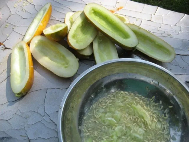 Cara Mengambil Biji dari Buah, Sayur, dan Bunga untuk Ditanam Lagi 11 cara mengambil biji dari buah