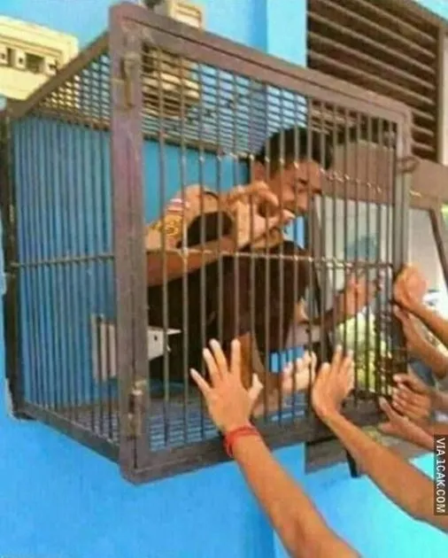 12 Potret Seru Sekaligus Kocak Kegiatan Pramuka. Nggak Nyangka Dulu Gigih Banget Mau Ngelakuin Ini 17