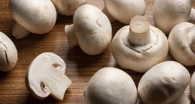 6 Jenis Jamur Bisa Dimakan, Enak Buat Lauk & Camilan 9 jenis jamur