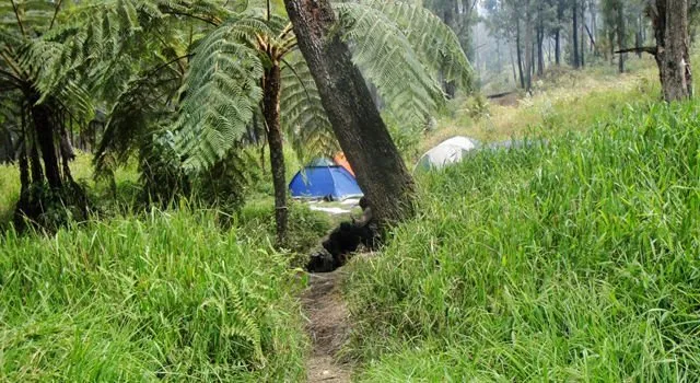 Arjuno, Gunung yang Menyimpan Banyak Kejadian Misterius di Balik Keindahannya. 12