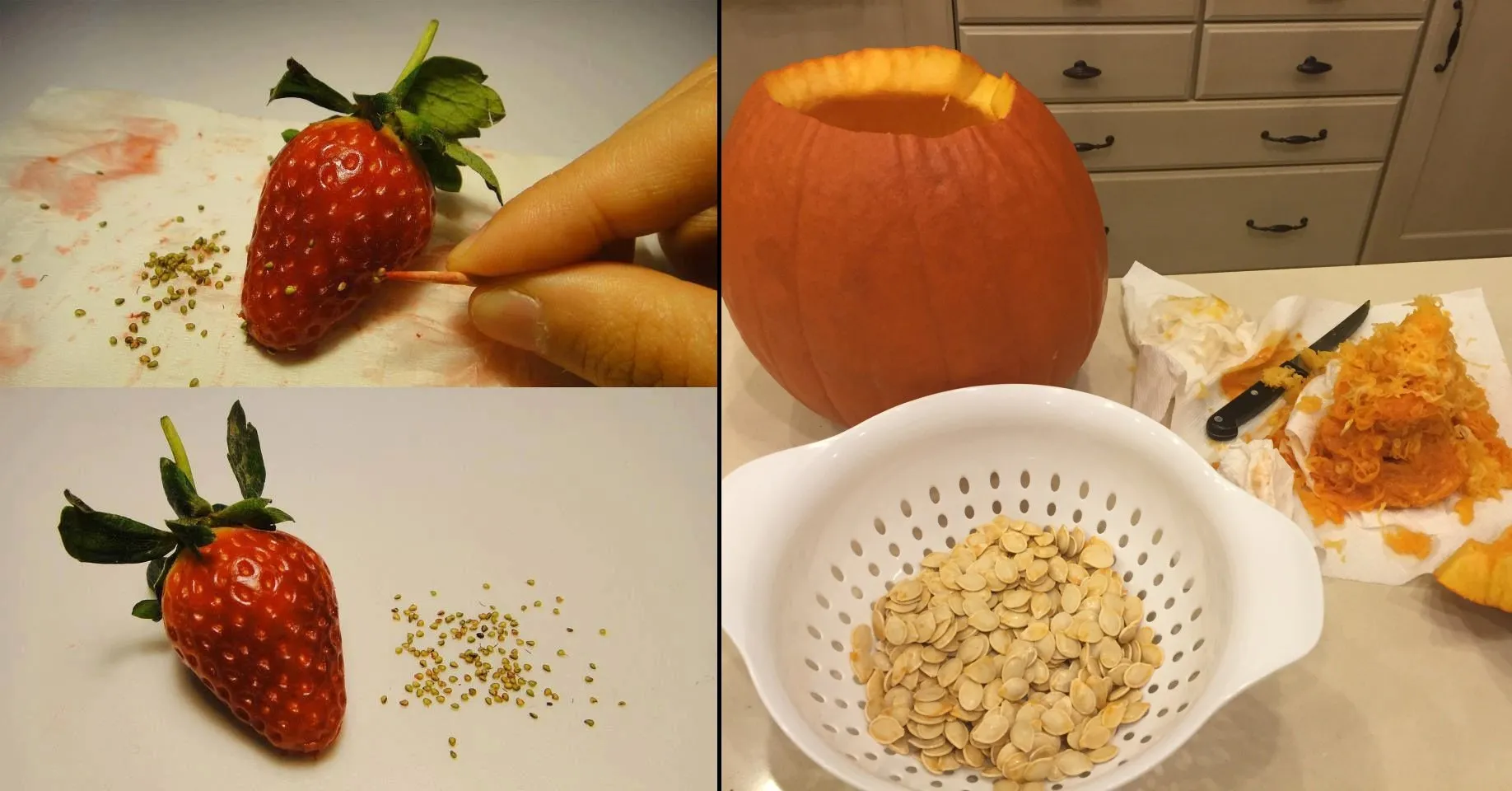 Cara Mengambil Biji dari Buah, Sayur, dan Bunga untuk Ditanam Lagi