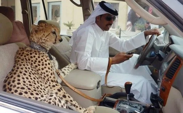 Orang Super Kaya di Arab Sewa Mal Demi Belanja Sambil Naik Mobilnya. Beneran Nggak, Ya? 4