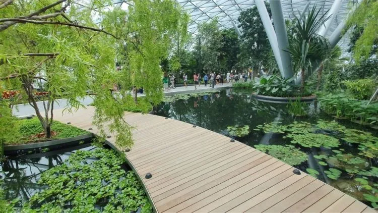 Jewel Changi Airport, Destinasi Hits Baru di Bandara Changi Singapura. Megah, Mewah, Spektakuler! 17