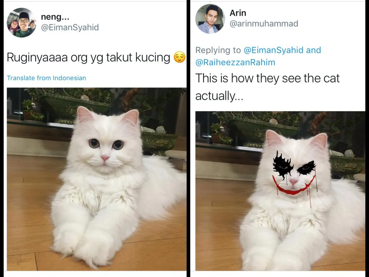 8 Ragam Perasaan Orang yang Takut sama Kucing. Di Saat Kalian Gemes dan Memujanya, Kami Gemetaran!!1 14
