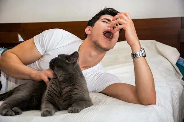 8 Ragam Perasaan Orang yang Takut sama Kucing. Di Saat Kalian Gemes dan Memujanya, Kami Gemetaran!!1 12